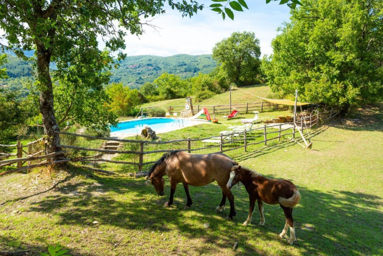 Villa Bellavista أريتسو المظهر الخارجي الصورة